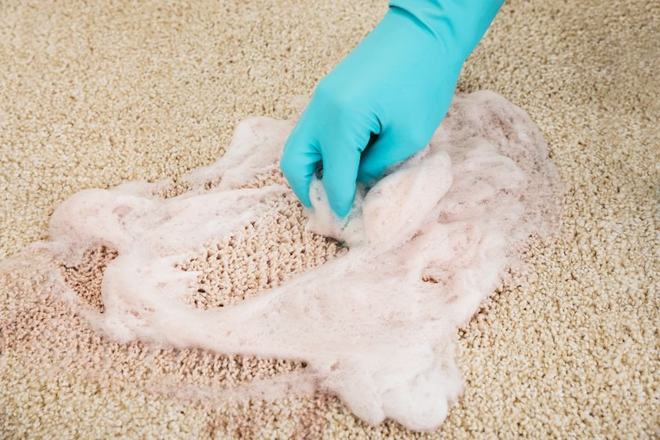 A person diligently cleaning a carpet with a sponge, highlighting a rug cleaning service in Las Vegas, NV.